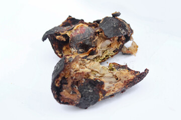 Rotten avocado. Avocado with mold and rot.