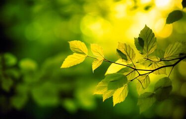 a green background with leaves and branches