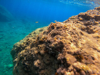 The sea and the color in a mediterranean beach under a castle (Scilla south Italy Calabria)