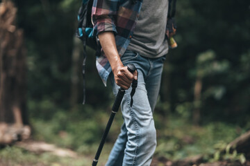 Fototapeta premium Hikers use trekking pole with backpacks and hold tent bag walking through the forest. hiking and adventure concept.