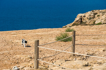 Formenetera Ibiza Balearic islands in Spain
