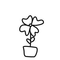 flower in a pot
