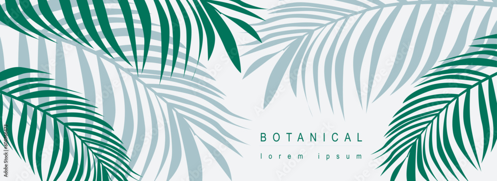 Poster Botanical abstract background with floral line art design. Horizontal web banner in minimal style with green leaves of palm trees, tropical plant foliage with silhouette contours. Vector illustration.