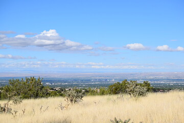 view of albuquerque from a hiking trail
