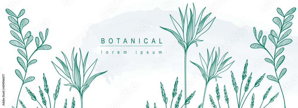 Poster botanical abstract background with floral line art design. horizontal web banner in minimal style wi