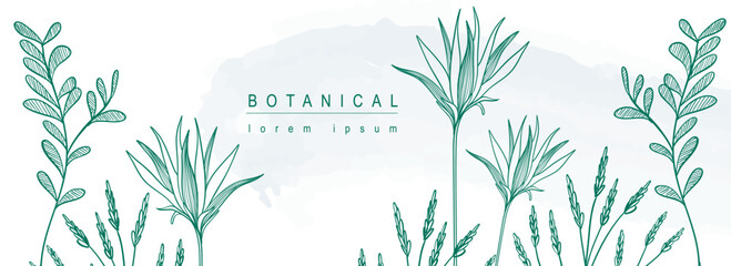 Botanical abstract background with floral line art design. Horizontal web banner in minimal style with blooming flowers contour, meadow herbs, leaves and green twigs border. Vector illustration.