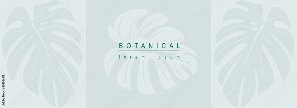 Poster botanical abstract background with floral line art design. horizontal web banner in minimal style wi