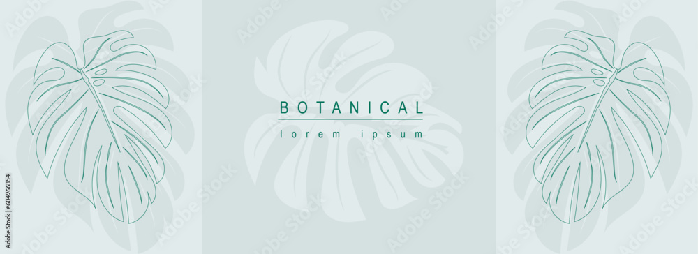 Poster Botanical abstract background with floral line art design. Horizontal web banner in minimal style with green monstera leaves, silhouettes and contour shapes of tropical foliage. Vector illustration.