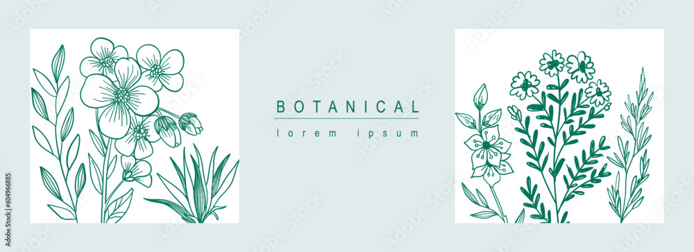 Poster botanical abstract background with floral line art design. horizontal web banner in minimal style wi