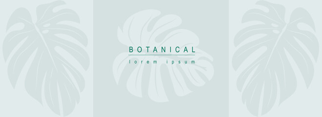 Botanical abstract background with floral line art design. Horizontal web banner in minimal style with green leaves of monstera, silhouettes of tropical jungle plant foliage. Vector illustration.