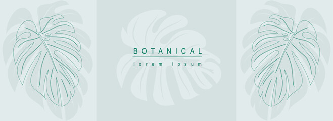 Botanical abstract background with floral line art design. Horizontal web banner in minimal style with green monstera leaves, silhouettes and contour shapes of tropical foliage. Vector illustration.