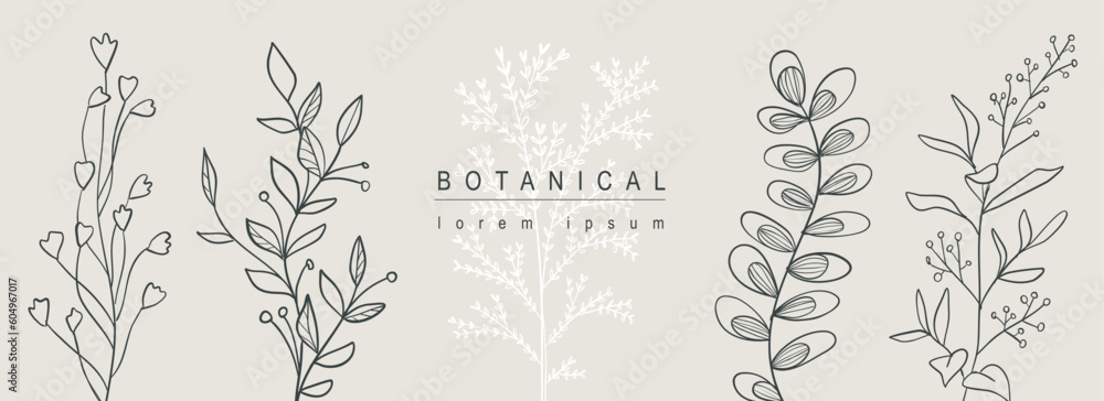 Poster botanical abstract background with floral line art design. horizontal web banner with composition of
