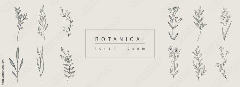 Poster botanical abstract background with floral line art design. horizontal web banner with composition of
