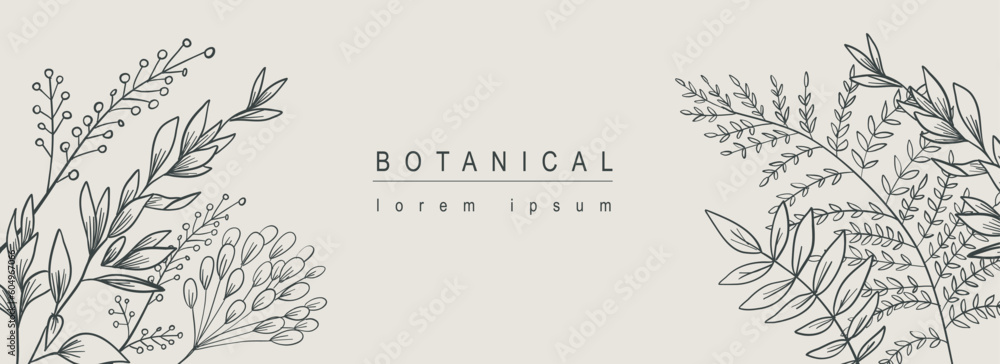 Poster Botanical abstract background with floral line art design. Horizontal web banner with herbal composition of different meadow grass, twigs with leaves and foliage plants elements. Vector illustration.