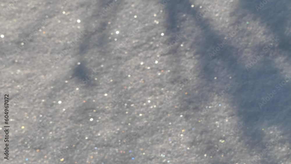 Poster winter background with shining snow texture and shadow of a tree. snowy background with a shadow of 
