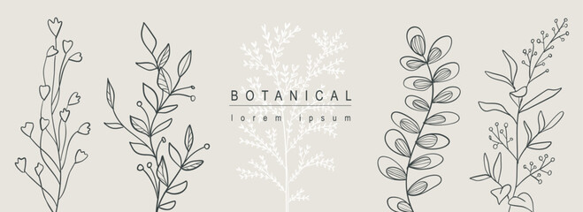 Botanical abstract background with floral line art design. Horizontal web banner with composition of silhouette contours shapes collection with herbs, grass, twigs and leaves. Vector illustration.