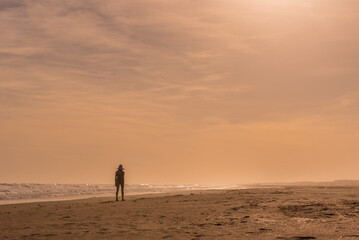 Fototapeta na wymiar View of a woman walking alone on the beach.