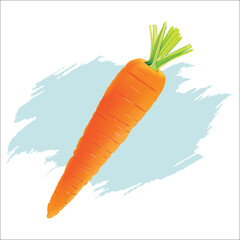 Carrot Vegetable