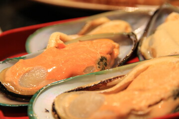 Seafood, large fresh oysters on a tray at a restaurant.