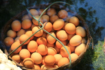 Chicken eggs in large and small baskets. It is soaked in mineral water to the specified temperature and can be eaten. - obrazy, fototapety, plakaty