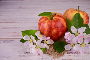 Ripe red apples and apple tree flowers on a white wooden background.
