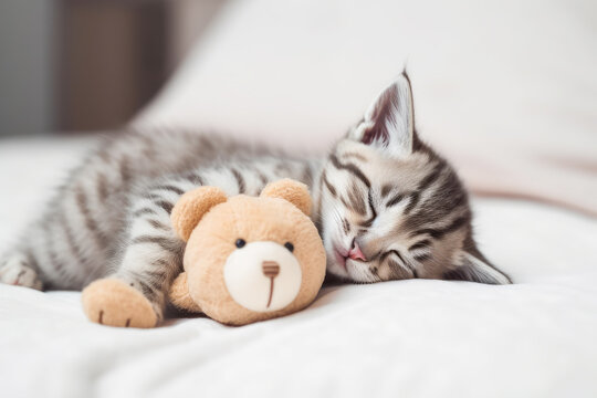 Cute little kitten sleeping with teddy bear on white blanket on bed. Generative AI.