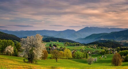 Panorama of picturesque mountain landscape in spring with blooming trees and green meadows. View of mountain field and meadow in the heart of Europe, Povraznik (Slovakia)