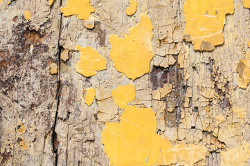 Yellow wood background / Background from a wooden plank with weathered yellow paint. - 604983211