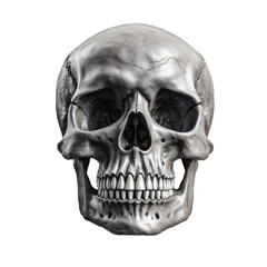 human skull isolated on white created by generative ai, edit with ps