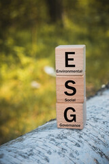 ESG, The concept of environmental, social and corporate governance, The idea of sustainable...