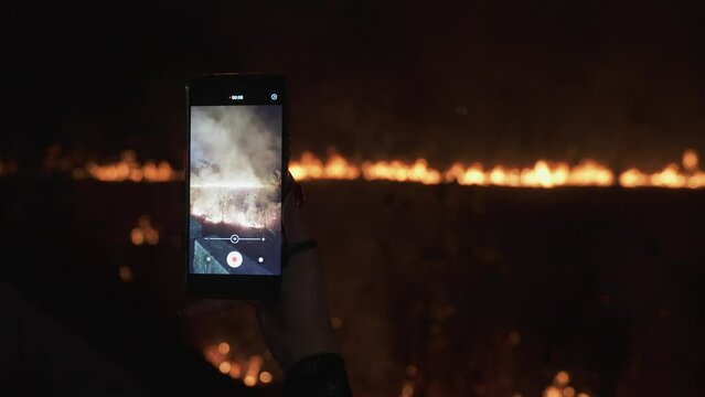 Shooting on the phone big forest fire
