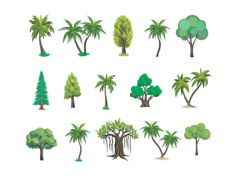 collection of types of trees with cartoon styled images