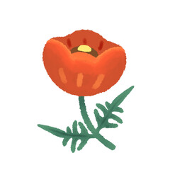 Cute Doodle Poppy flower.