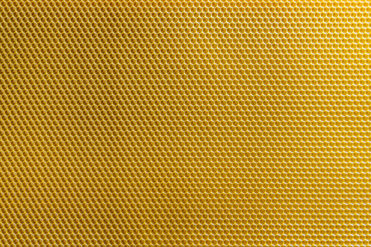 Background texture and pattern of section voshchina of wax honeycomb from a bee hive for filled with honey. Voshchina an artificial basis for the construction of honeycombs, sheet of wax of cells