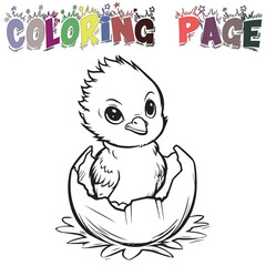 Cute Angry Bird Baby Chicken For Coloring Book Or Coloring Page For Kids Vector Clipart Illustration