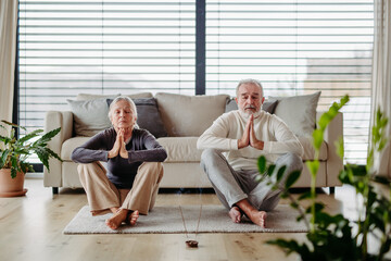 Senior couple is doing yoga at home.
