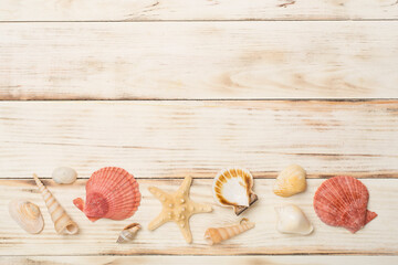 Sea shells on wooden background, top view