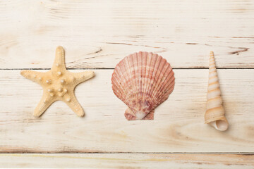 Fototapeta na wymiar Sea shells on wooden background, top view