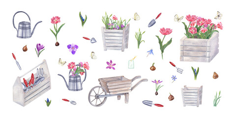 Watercolor set of garden tools, flowers, bulbs, butterflies isolated on transparent. Illustration of watering can, wooden pots, wheelbarrow, tool box, hand trowels, fork, crocus, tulip, blue snowdrops