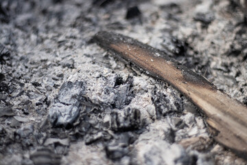 Fire dust and tree branches 