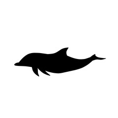 dolphin silhouette vector