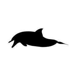 dolphin silhouette vector