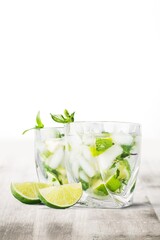 Refreshing tasty drink with ice and mint.