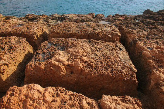 Vega Baja del Segura - Torrevieja - Paisajes y detalles de las calas de Torrevieja, cantera romana