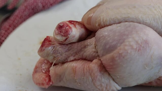 coquelet cru, en gros plan, dans une assiette