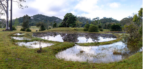 Small lakes in the grassy field with forest in the background. Daytime view of forest and lake