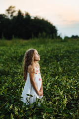 The girl mysteriously looks into the distance, against the background of green nature. A beautiful child under the rays of the sun in a field with soybeans. Children and a clean planet are our future.