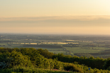 panorama of the field