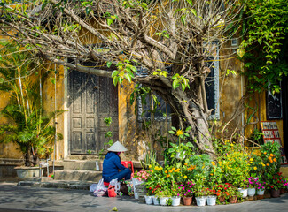 A side view of Vietnamese woman covered by a rice hat working near beautiful flowers at Hoi An old town in a sunny day.