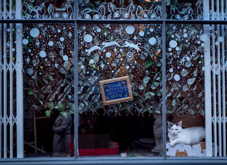 A grumpy cat sits in the window of a cafe decorated with Christmas stencils